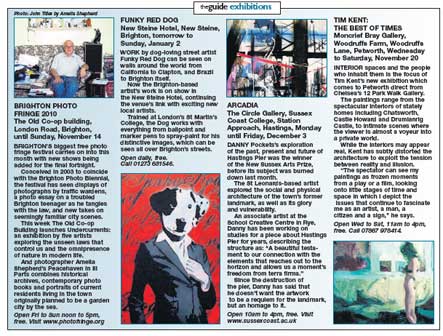 New Steine Hotel - Funky Red Dog Exhibition Review New Steine Hotel - Funky Red Dog Exhibition Review