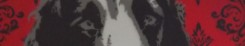 Doghead-Henry-banner