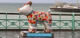 SnowDogs Competition