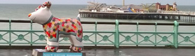 Autumn 2016 - What's On in Brighton